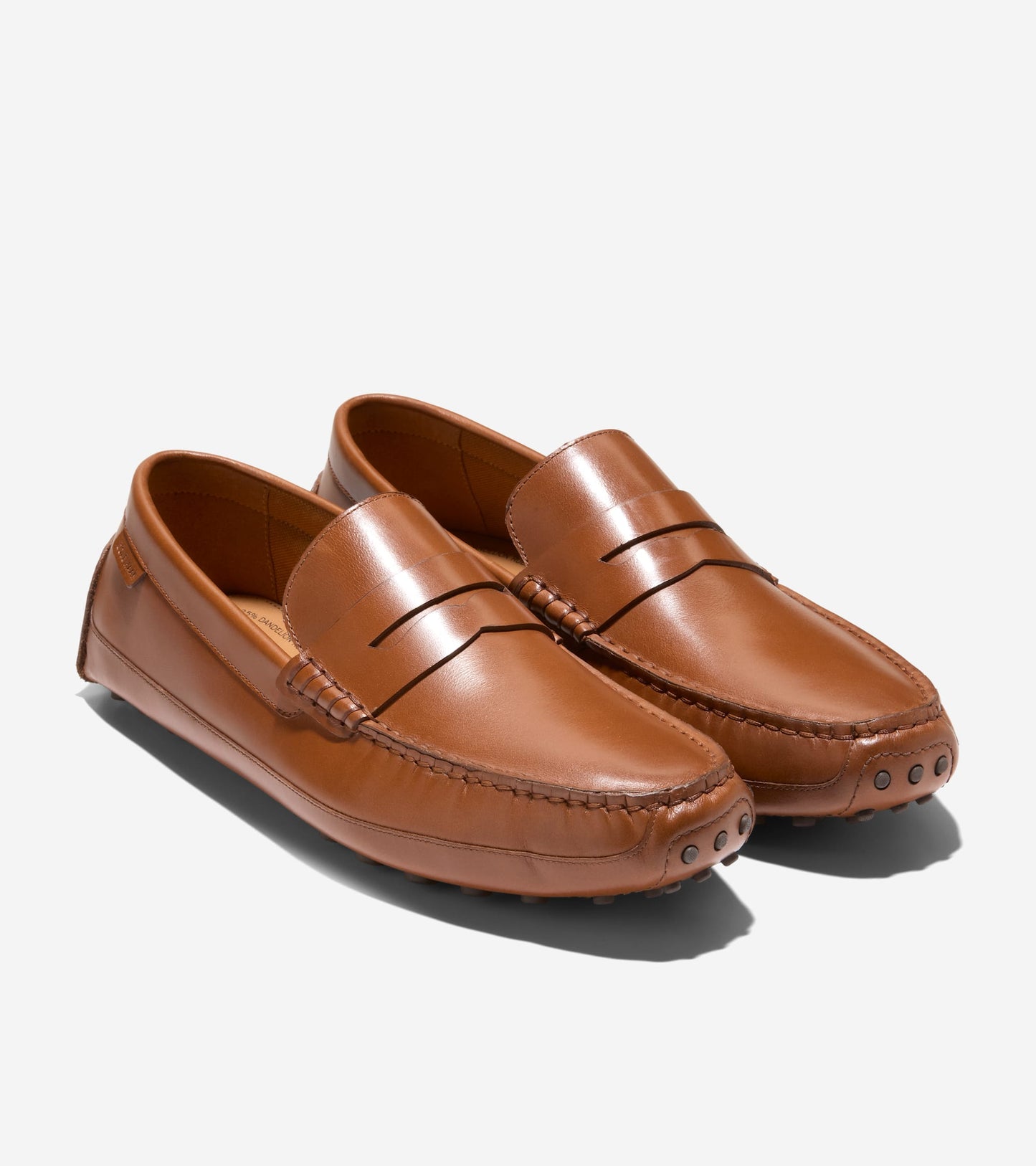C41727:CH BRITISH TAN /CH JAVA