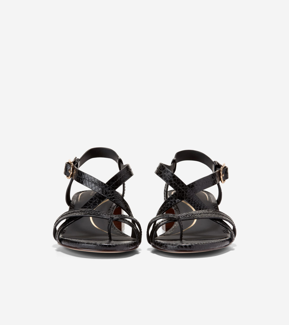 W36595:BLACK GLOSSY SNAKE PRINT LTHR