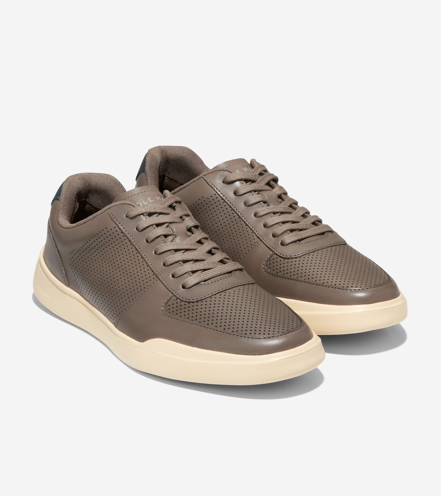 C37449:CH MOREL/CH OAT/SCARAB