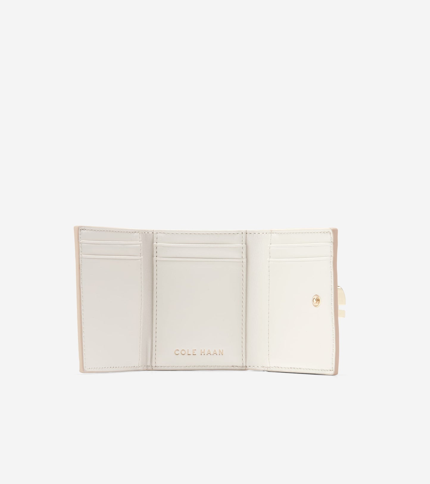 U06989:SAND DOLLAR/ IVORY:0000