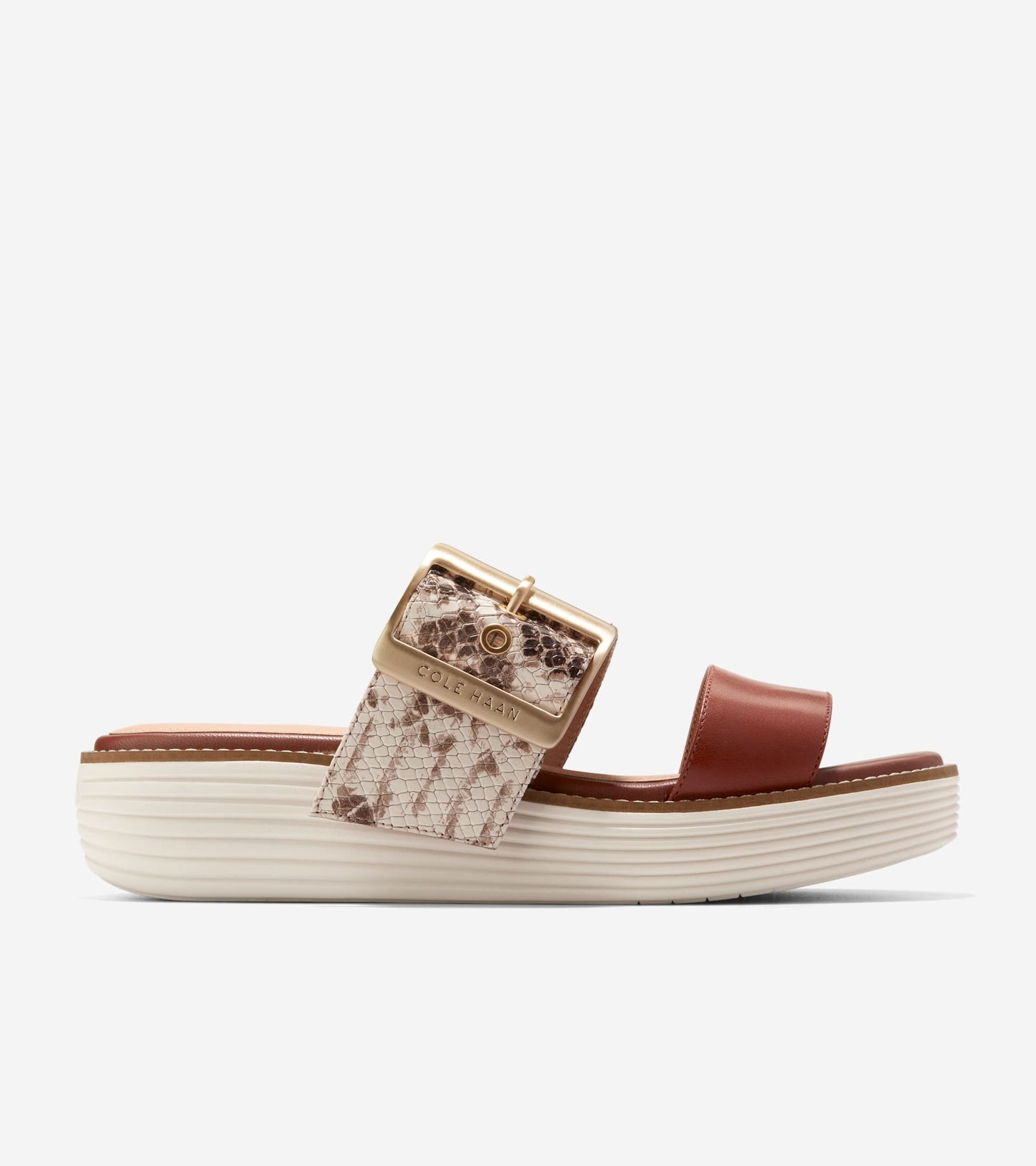 W29421:SANDOLLAR SNAKE PRINT/DK CUOIO/IVORY