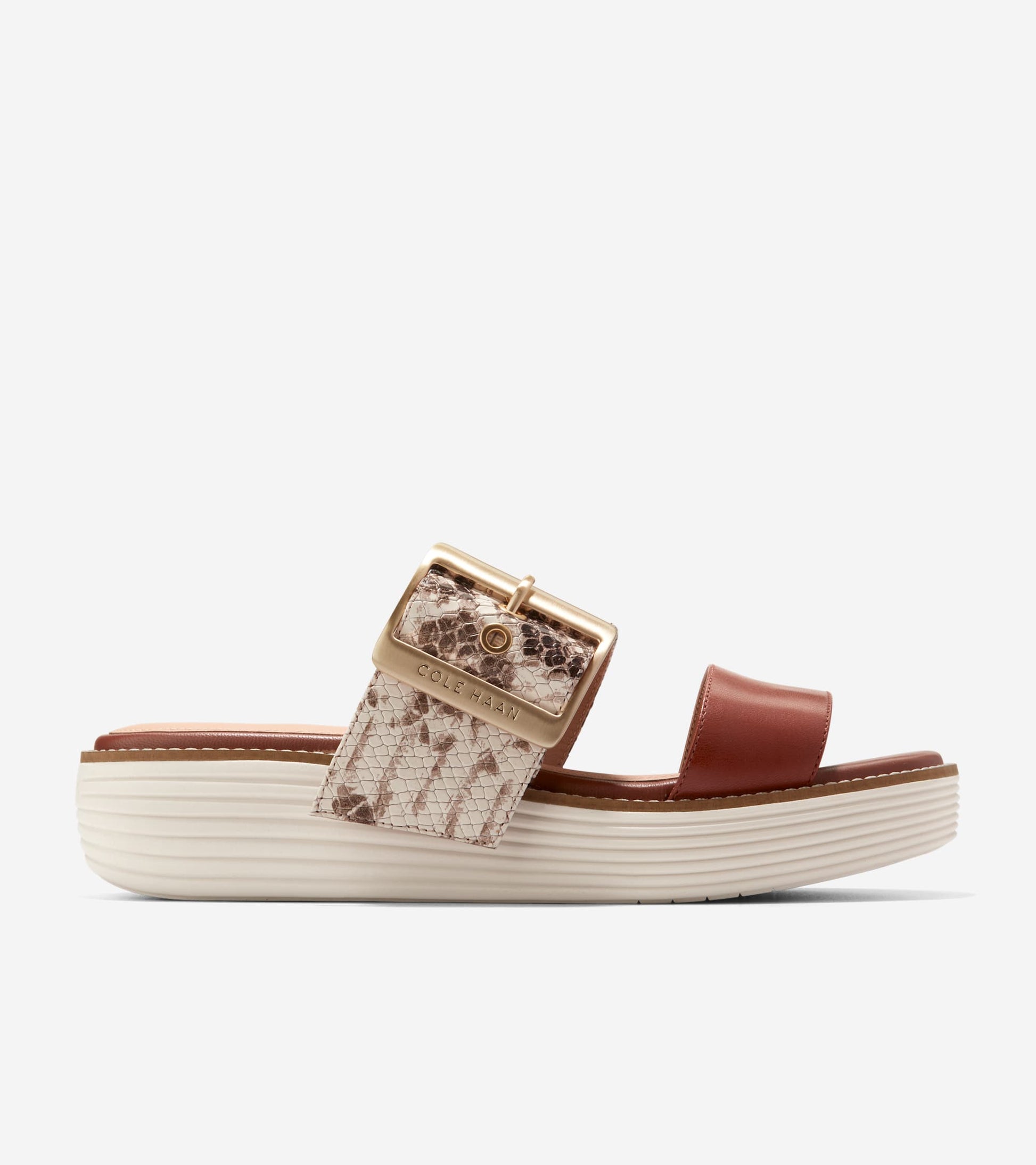 W29421:SANDOLLAR SNAKE PRINT/DK CUOIO/IVORY