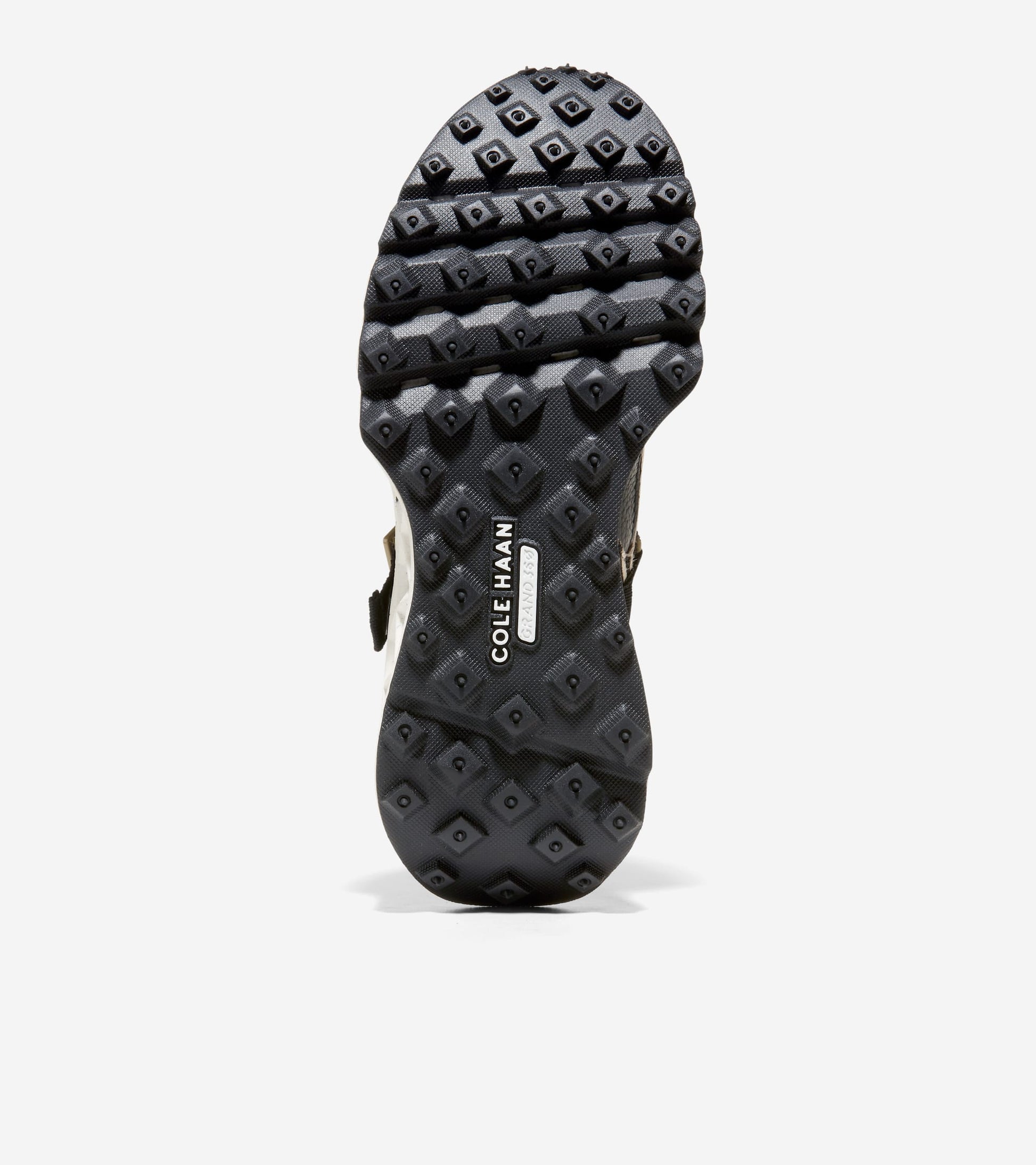 W29921:BLACK/SAFARI PRINT/IVORY